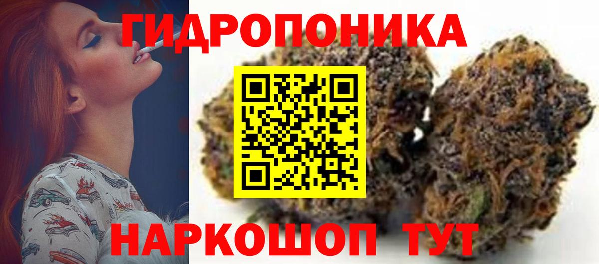 Шишки марихуана Bruce Banner  Шишки марихуана ГИДРОПОН  Вход с VPN  Марихуана Bruce Banner  Медногорск 